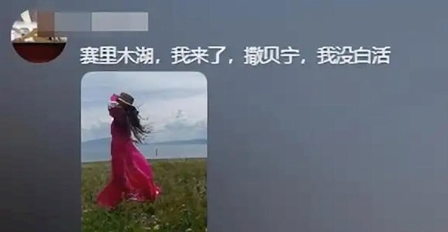 天鹅及其他